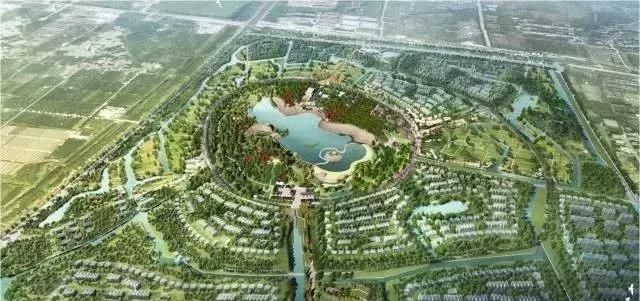 张家港城市发展成就,张家港市区有发展前景吗