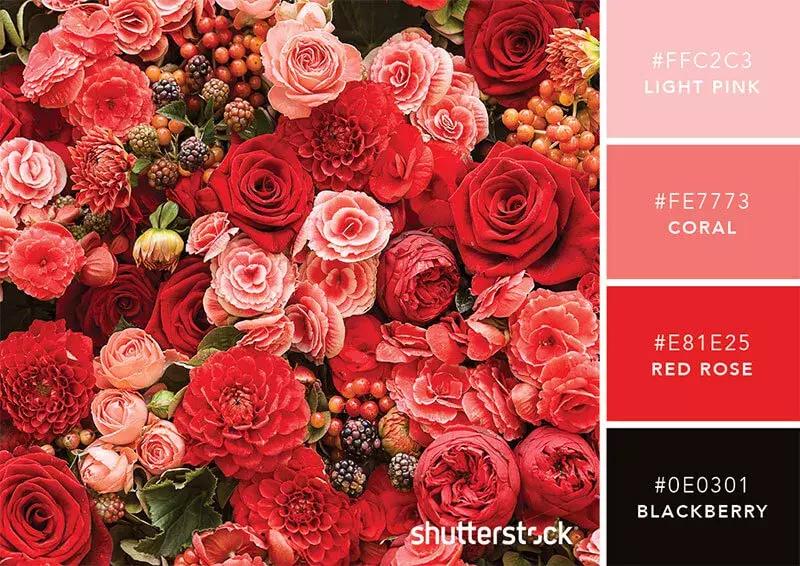 相见恨晚的色彩搭配,两种好看的颜色搭配