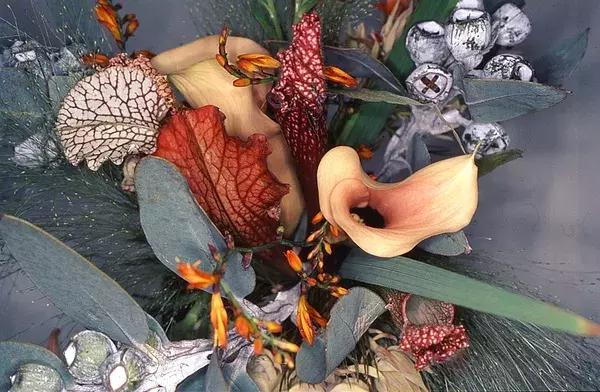 北京很忙！5月超多展览、话剧、演唱会！还免费？