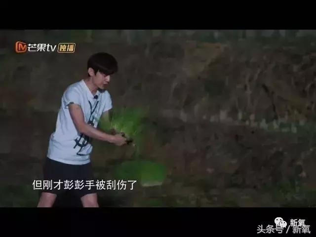 吐槽张杰土味视频,张杰吐槽土味视频