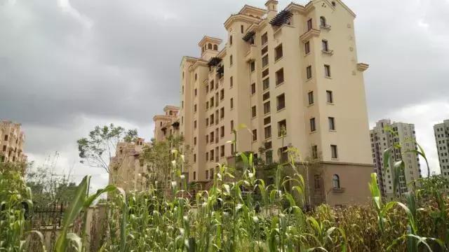 世道变了！浦东这个“纯刚需盘”400多套房却只有90个认筹的