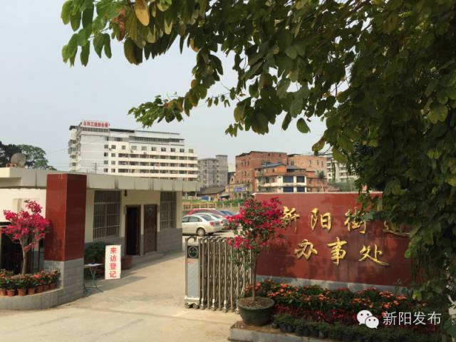 新阳街道妇联携手南宁市第一人民医院骨科开展中老年骨质疏松防治讲座和义诊活动