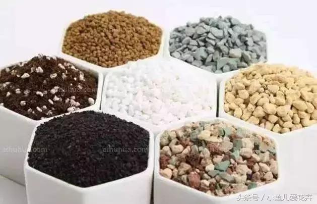 新手养肉肉最好用什么土,新手养肉配土