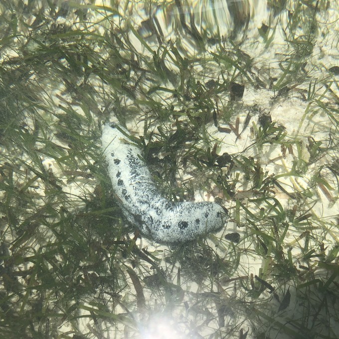 帕劳的海景风光给人美的享受,帕劳的海洋和沙滩风景图片