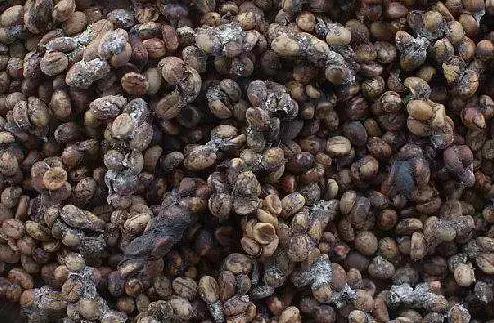 什么样的人会每天一杯咖啡,什么样的人会点外卖