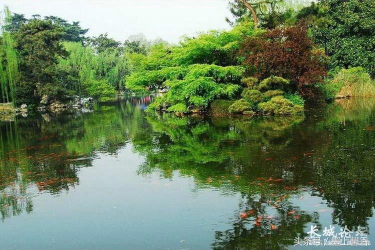 怡人的景色视频,怡人的风景美景