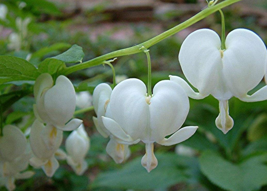 做人要有随遇而安的心态,做人进退有度随遇而安