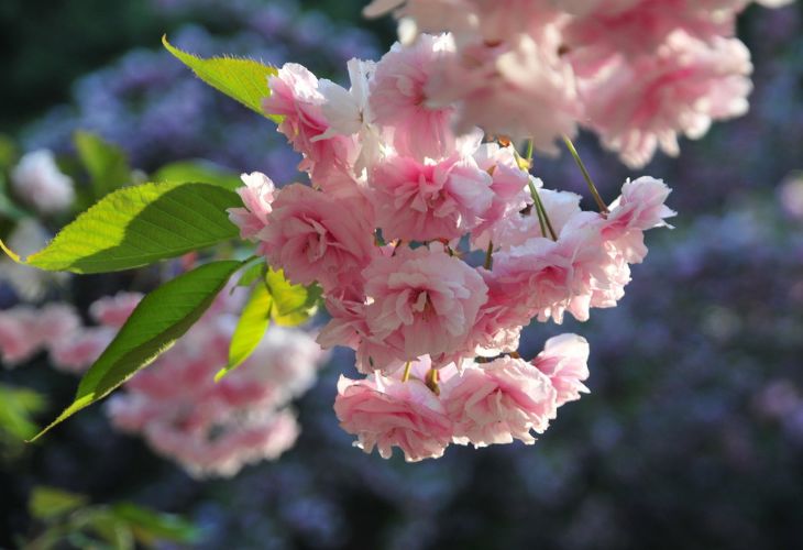 魏子昌经典诗词,魏子昌律诗全集