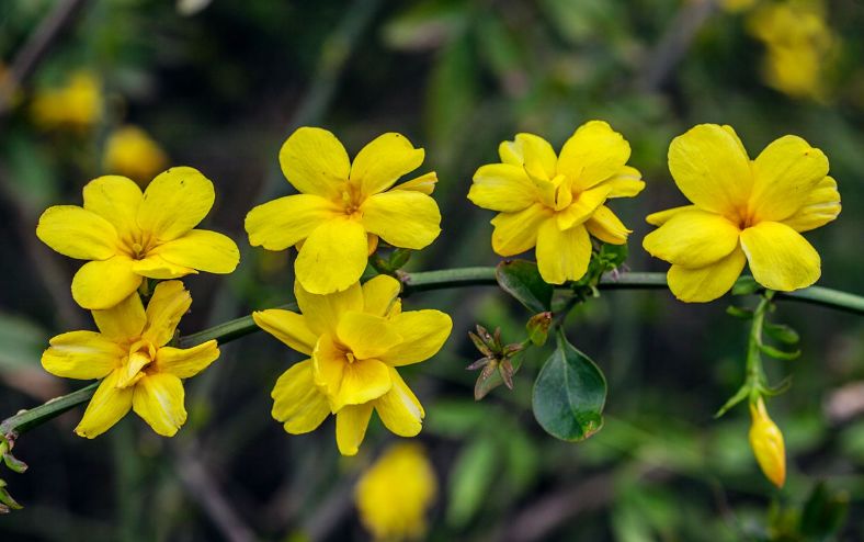 魏子昌经典诗词,魏子昌律诗全集