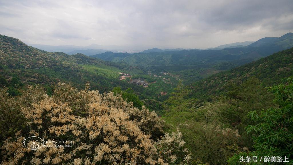 江西三清山风景区一日游攻略,江西圭峰山风景区攻略