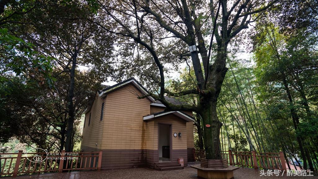 江西三清山风景区一日游攻略,江西圭峰山风景区攻略