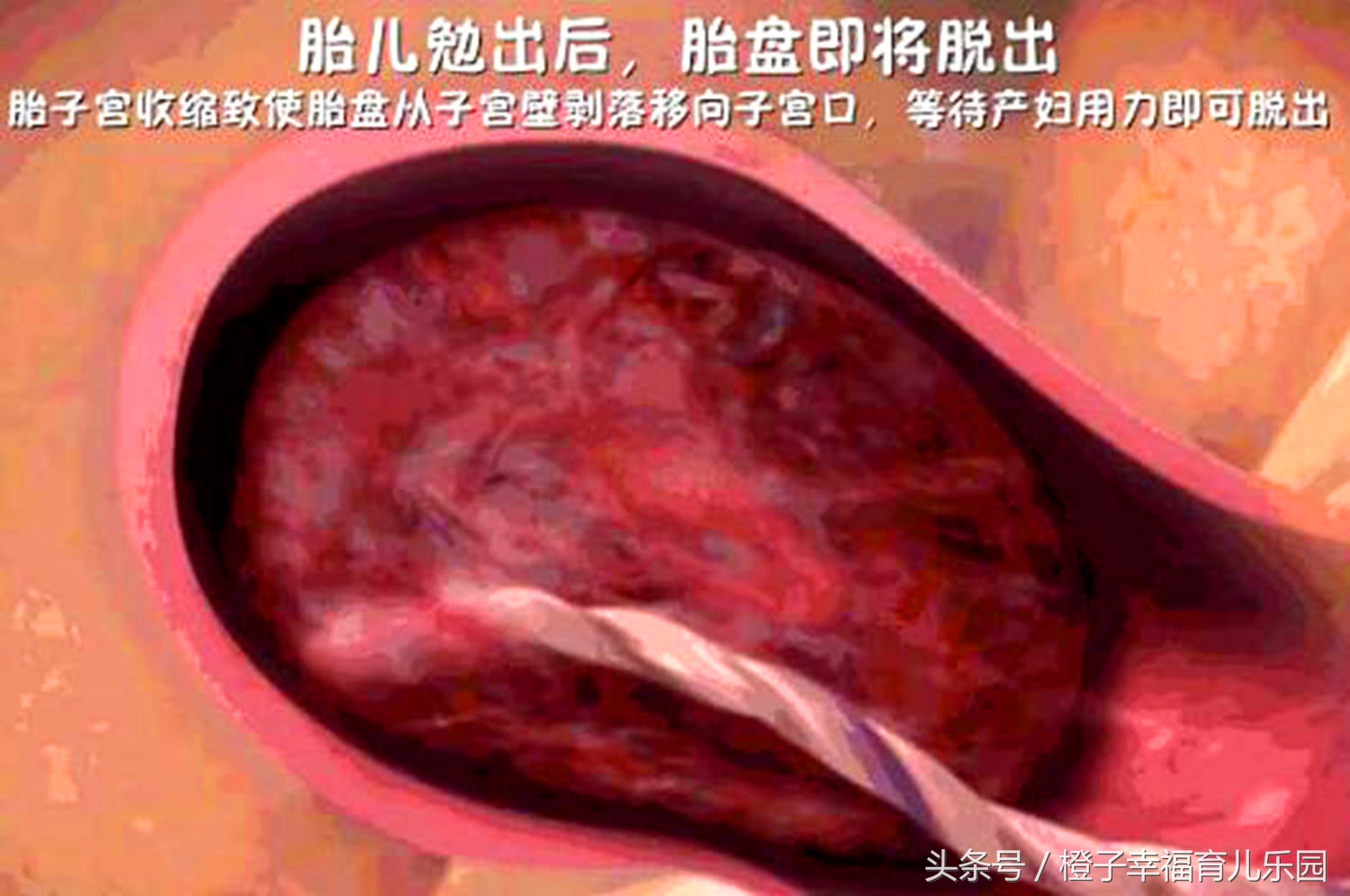 孕妇顺产分娩全过程，母亲太伟大了，看完眼角都湿润了！