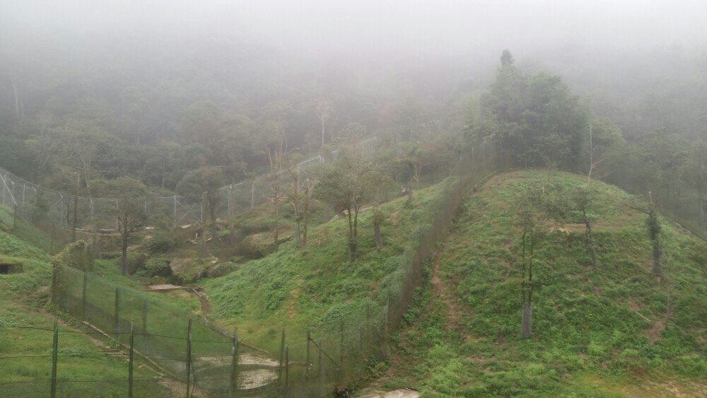 风景旧曾谙歌曲,风景旧曾谙这句话是什么意思