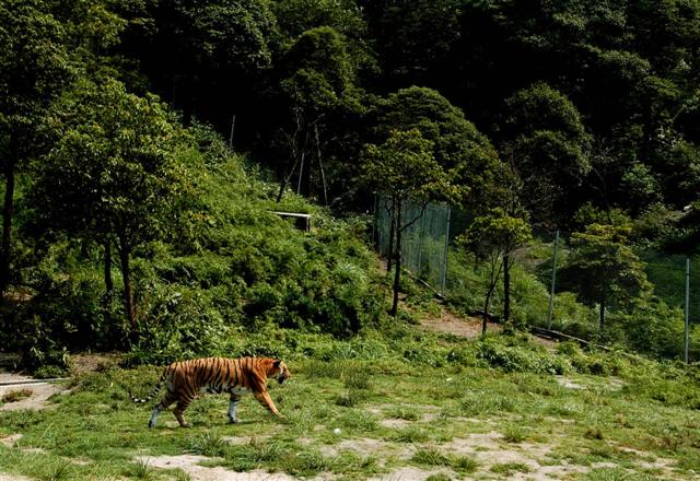 风景旧曾谙歌曲,风景旧曾谙这句话是什么意思