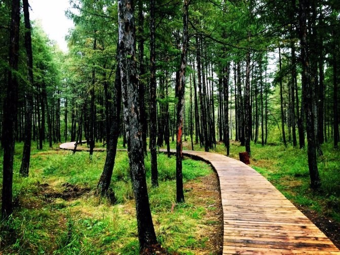 浪漫呼伦贝尔双飞五日游,呼伦贝尔5月精彩7日之旅