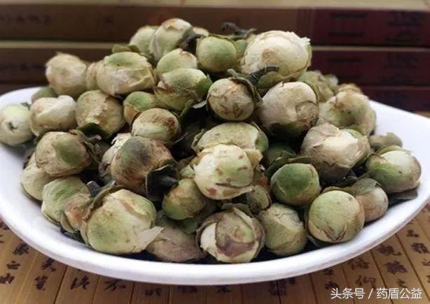 带您走近传说中的“天山雪莲”