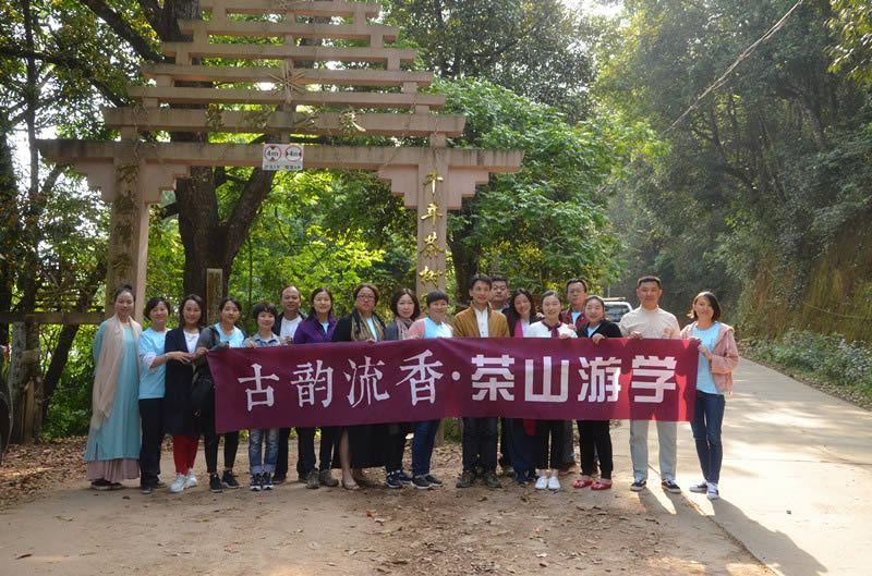 探寻800年古树普洱茶的神秘魅力,探寻古树普洱茶