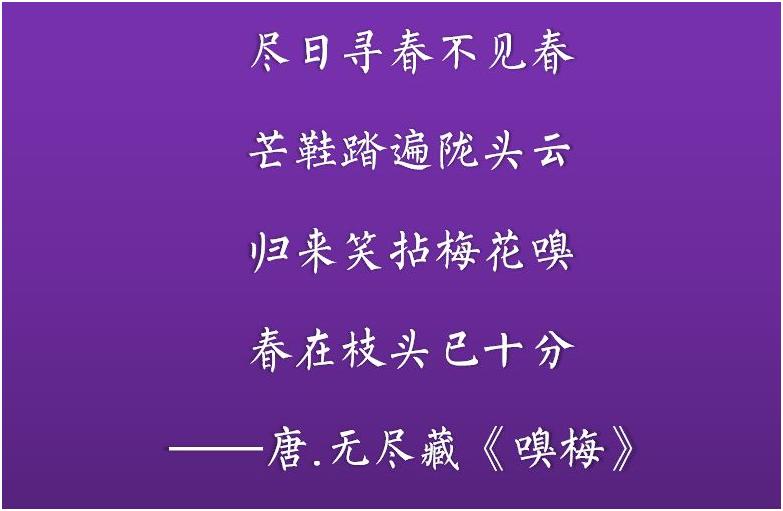 沦为鄙视链底层的保险，一群“佛性”青年，寻求保险的*善美真**