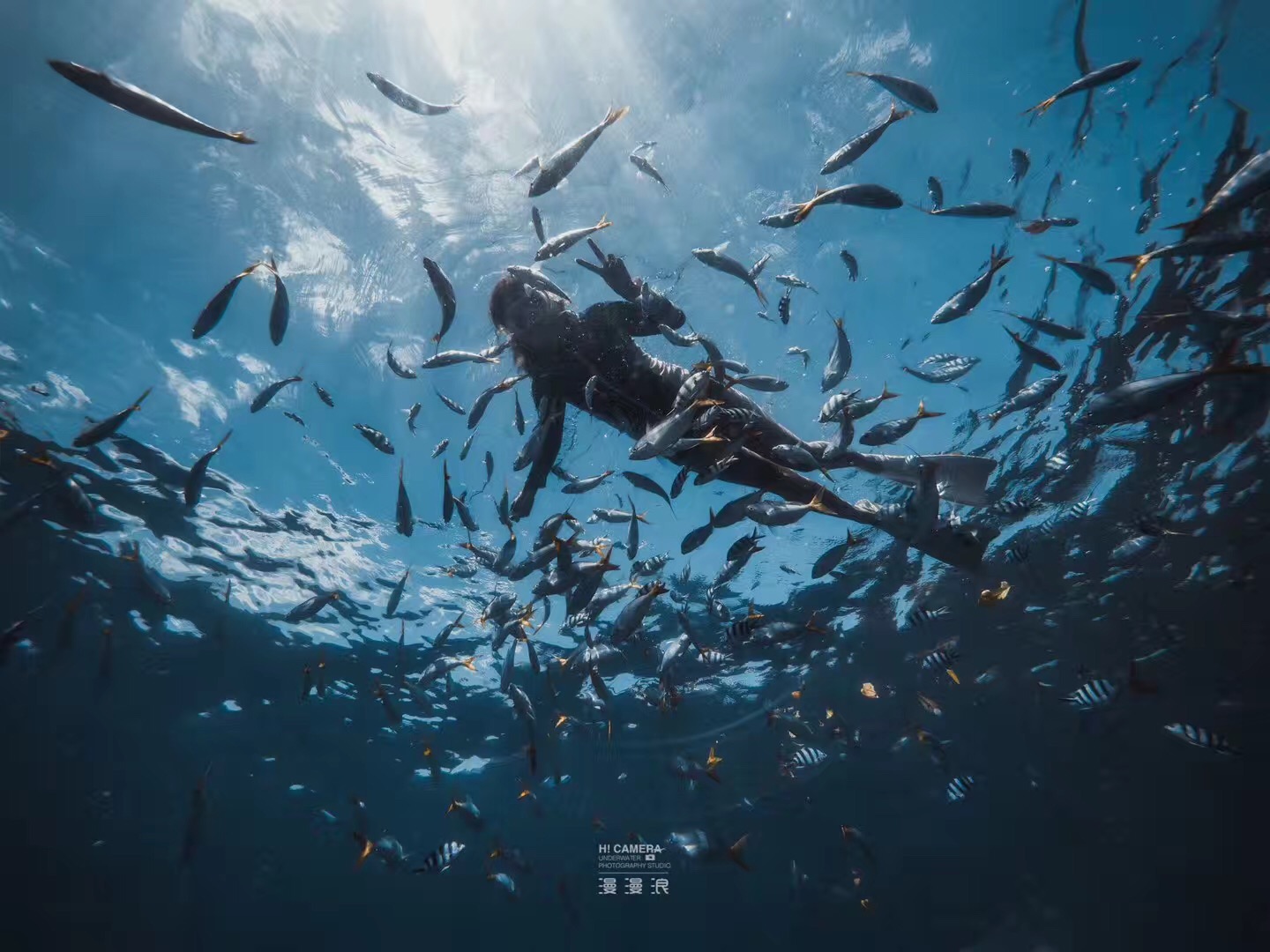 帕劳可以潜水吗,去帕劳玩是什么感觉