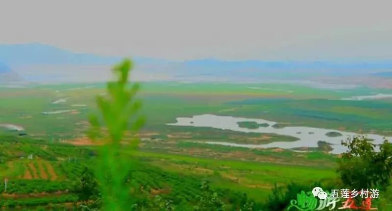 五月来西双版纳,适合五月旅行民宿