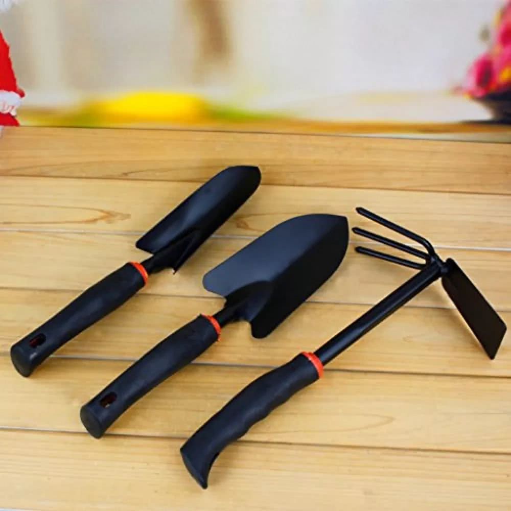 阳台盆栽香料,在家种什么香料好吃又实惠