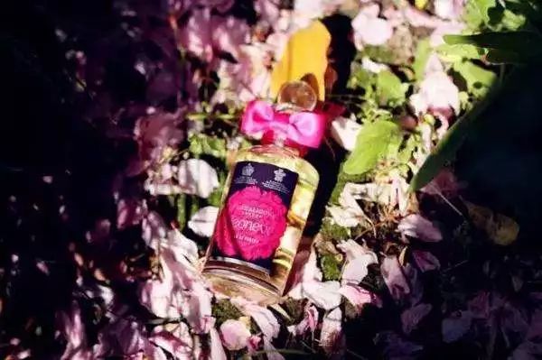 女人身上的香水味是什么很好闻 (你身上有他的香水味但没有我的贵)