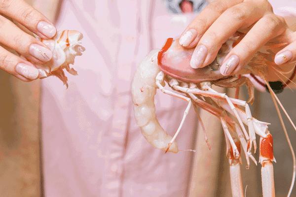 上海米其林一星日料,东京日料米其林一星