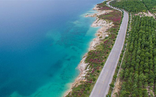 欢迎来到茂名一座充满活力的城市,茂名成为全国十大宜居之城