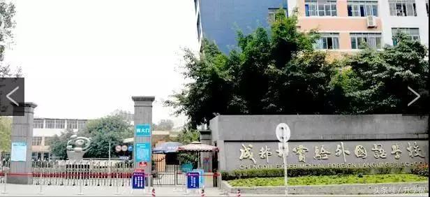 起底“德瑞系”——成外、实外、实外西区三校大比拼！