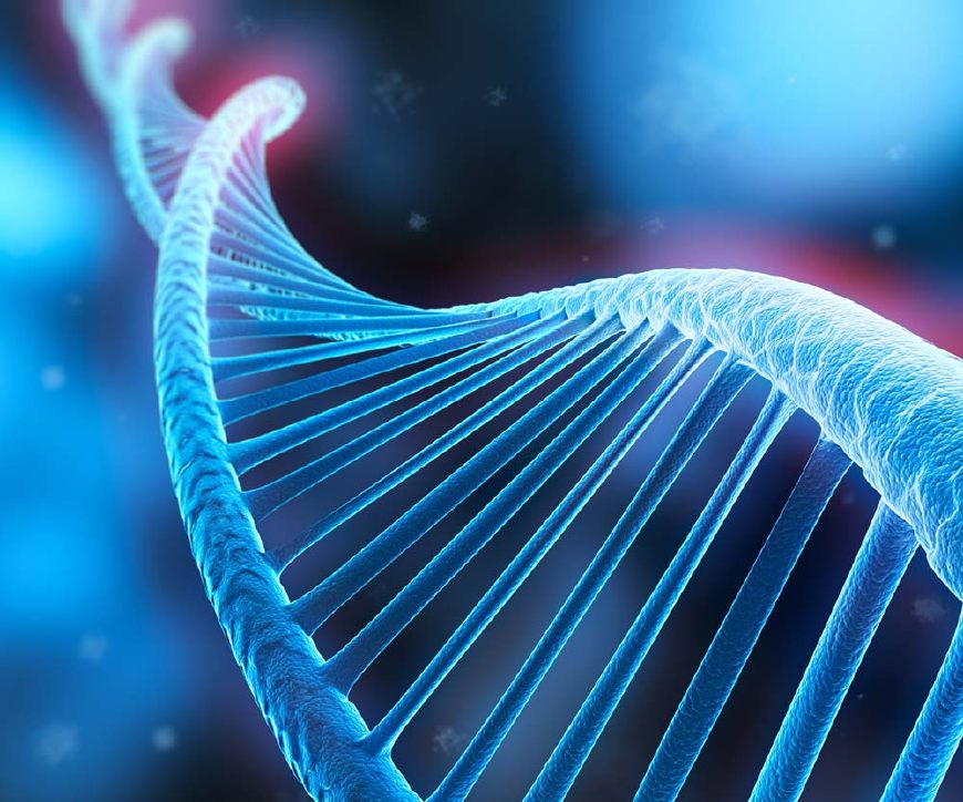 高云翔案四审将公布DNA检测结果，视频调查对王晶有利