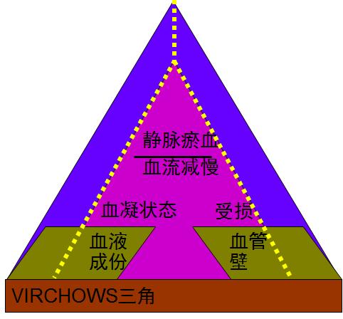 年纪轻轻怎么会一条腿反复血栓,年龄大了得了腿血栓怎么办