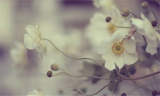 张启明书法家,张启明书法作品