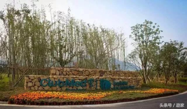 安吉亲子度假酒店有哪些,浙江十大亲子度假酒店