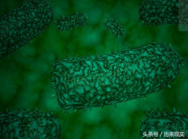 古代没狂犬疫苗被狗咬了怎么处理,古代人被狗咬了都得狂犬病吗