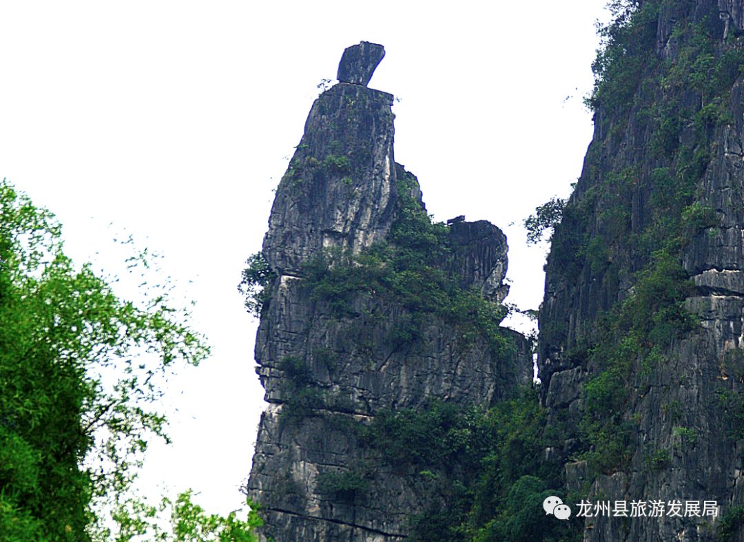 来上犹我养你高清图片,来武平我养你