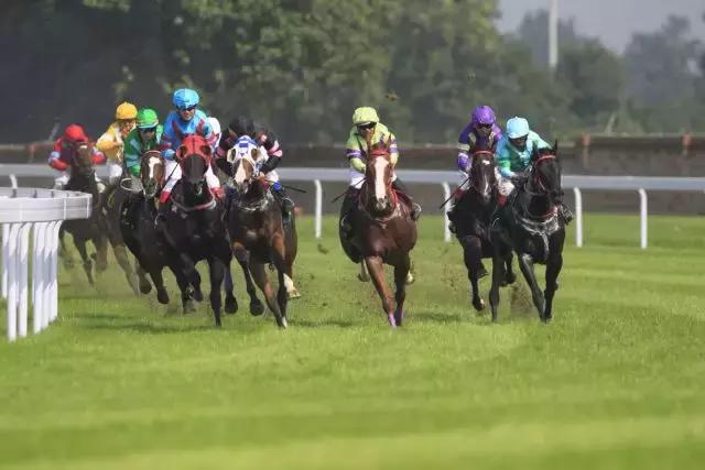 那么多关于温江的回忆,这让我怎么注销QQ