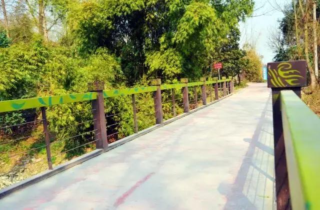 那么多关于温江的回忆,这让我怎么注销QQ