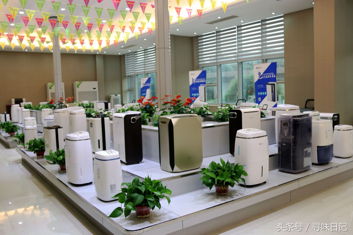 梅雨季节墙壁发霉怎么预防,梅雨季节房间怎么祛湿