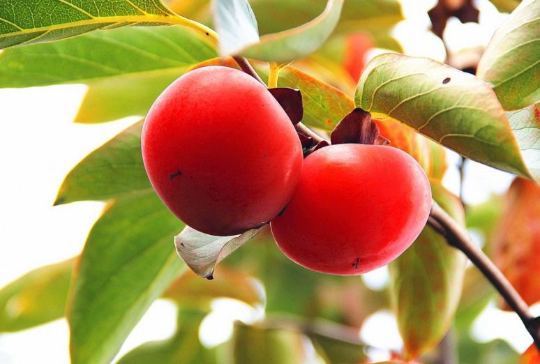 美文美图视频朗读,美文美图欣赏集锦