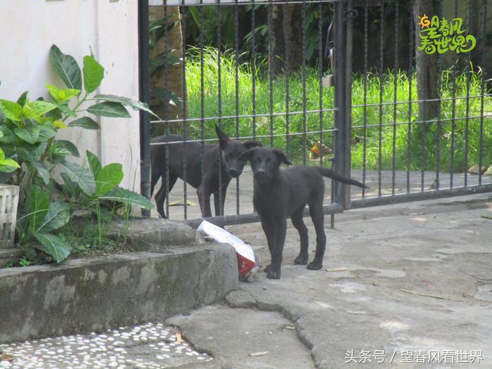 手绘旅行,东山岛旅游手绘游记