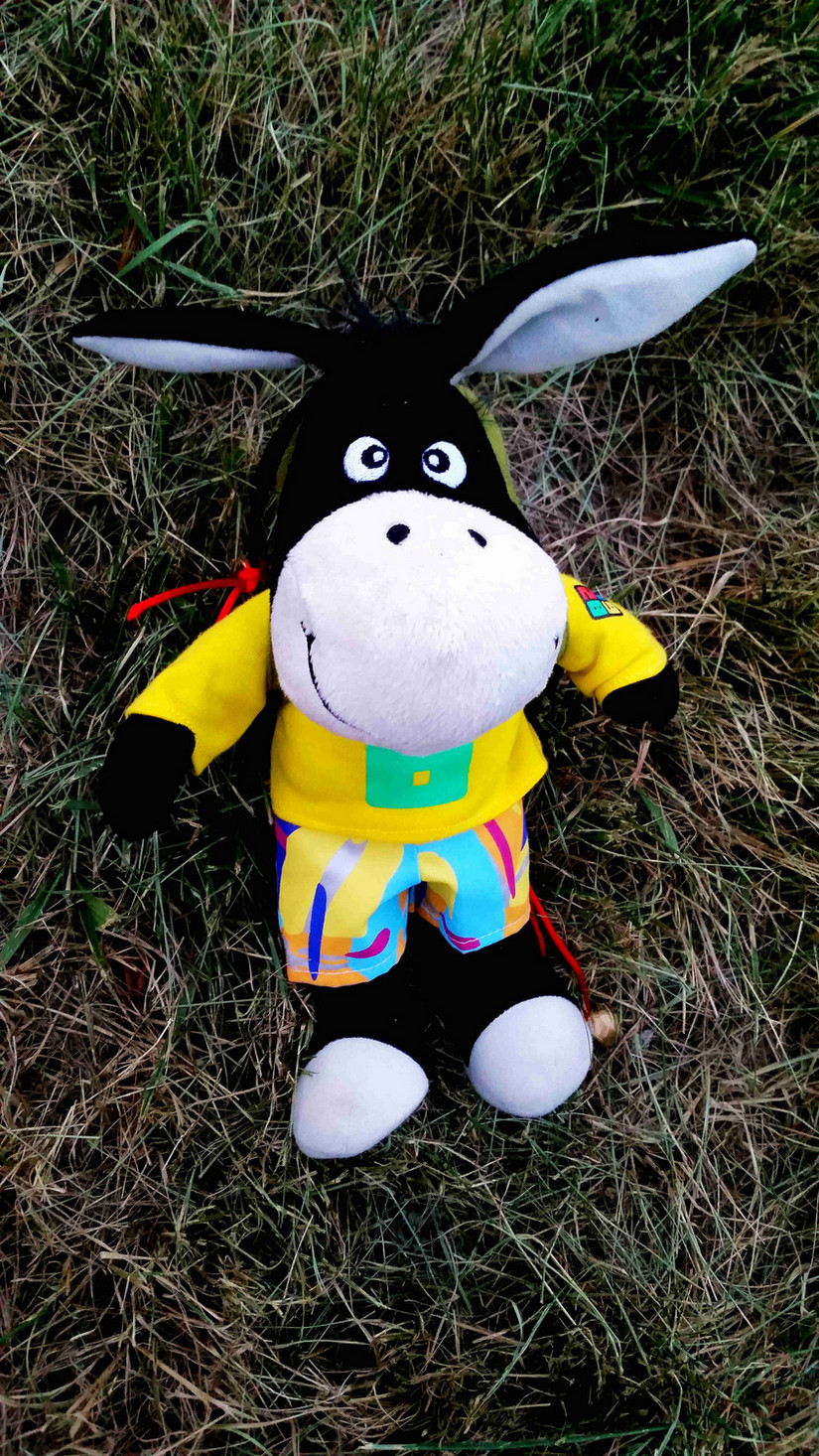 天华山-秦岭梁，又一条风景秀美的一日劲走线路