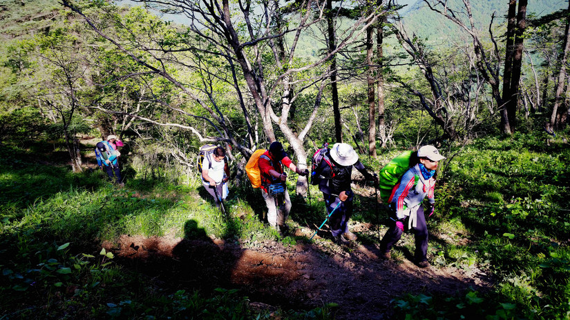 天华山-秦岭梁，又一条风景秀美的一日劲走线路