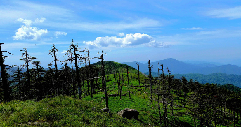 天华山-秦岭梁，又一条风景秀美的一日劲走线路