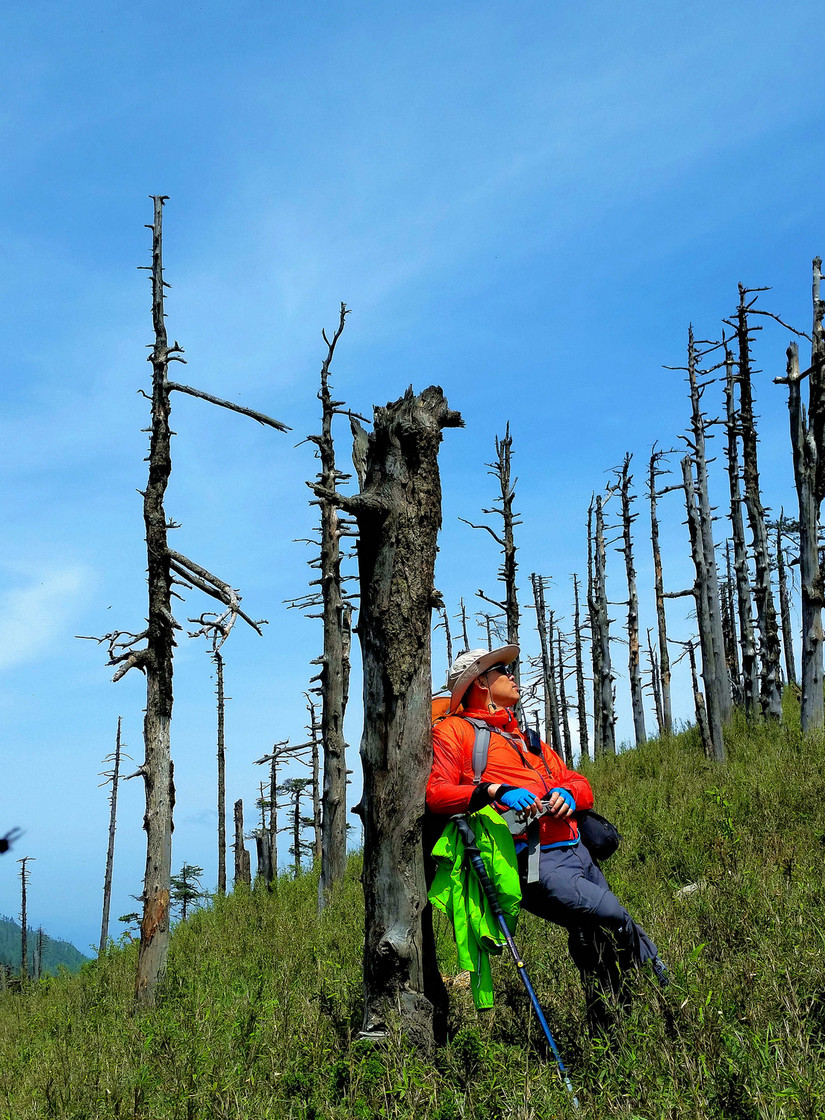 天华山-秦岭梁，又一条风景秀美的一日劲走线路