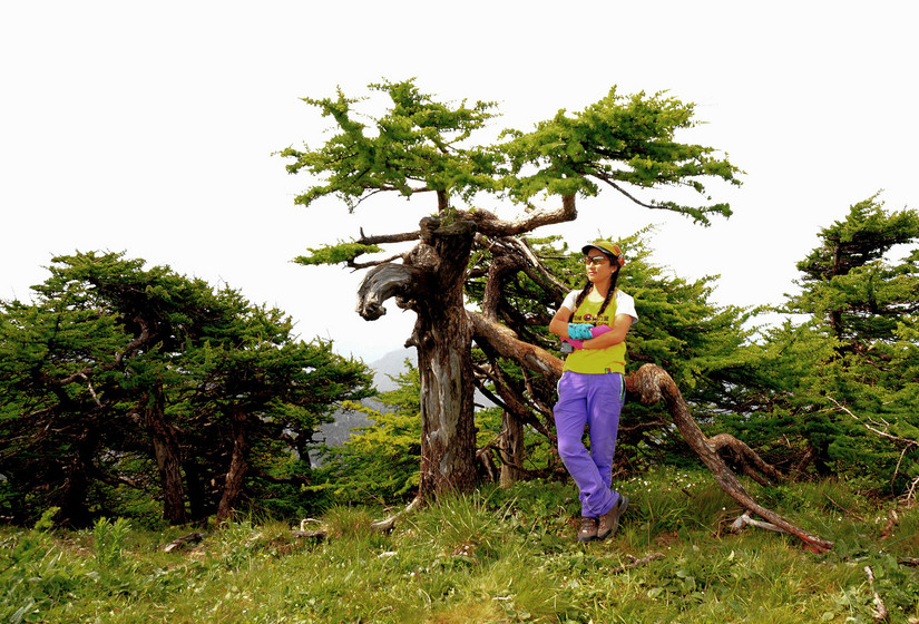 天华山-秦岭梁，又一条风景秀美的一日劲走线路