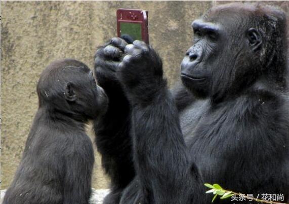 淘宝关键词引流技巧,巨量引擎引流淘宝技巧