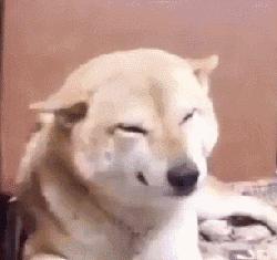 扎心了老铁受人冷落的原因,扎心了老铁加班累死了