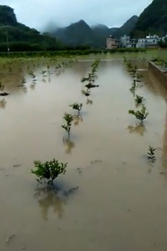 龙卷风属于自然灾害受灾了怎么办,龙卷风过后的灾情