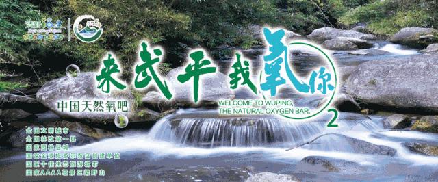 武平县准生证怎么办,龙岩武平准生证办理什么材料