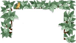 「涨知识」42000种烟盒、11000种酒瓶……这个禹州人在烟盒和酒瓶上找到了诗和远方